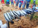 บรรยากาศการแข่งขันตกปลา ในงานโลกทะเลทุ่งตะโก ประจำปี 2569